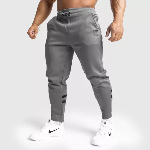 Pantaloni de trening Jogger Iron Aesthetics Boxed, gri