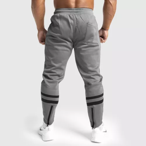 Pantaloni de trening Jogger Iron Aesthetics Boxed, gri