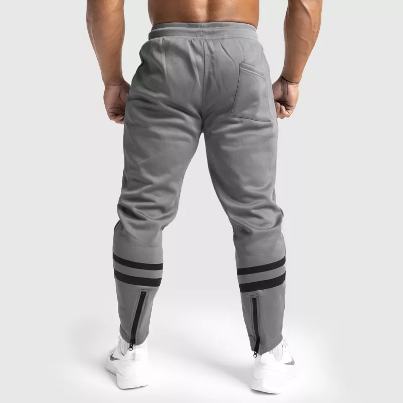 Pantaloni de trening Jogger Iron Aesthetics Boxed, gri-2