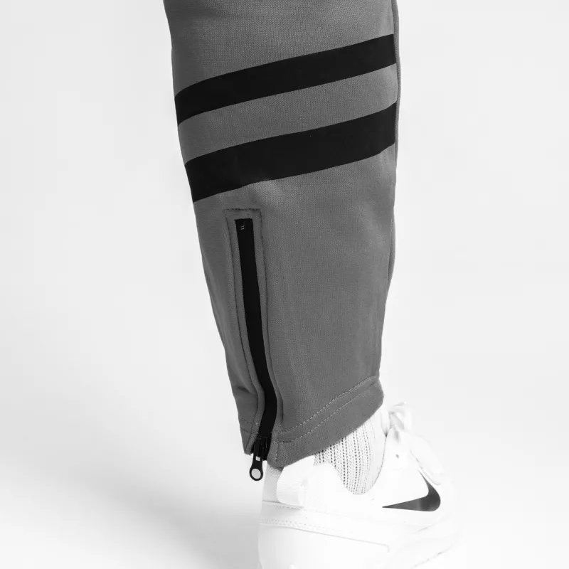 Pantaloni de trening Jogger Iron Aesthetics Boxed, gri-8