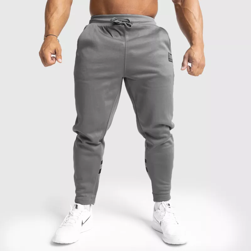Pantaloni de trening Jogger Iron Aesthetics Boxed, gri-3