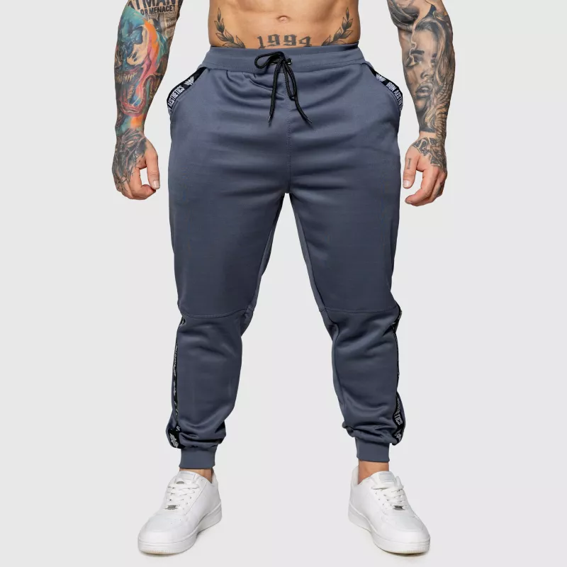 Pantaloni de trening Jogger Iron Aesthetics Partial, gri-2