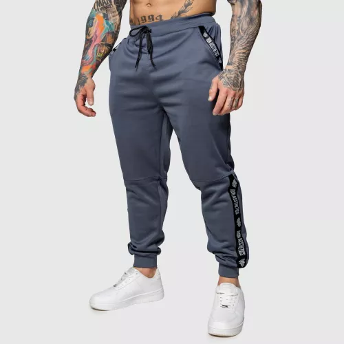 Pantaloni de trening Jogger Iron Aesthetics Partial, gri