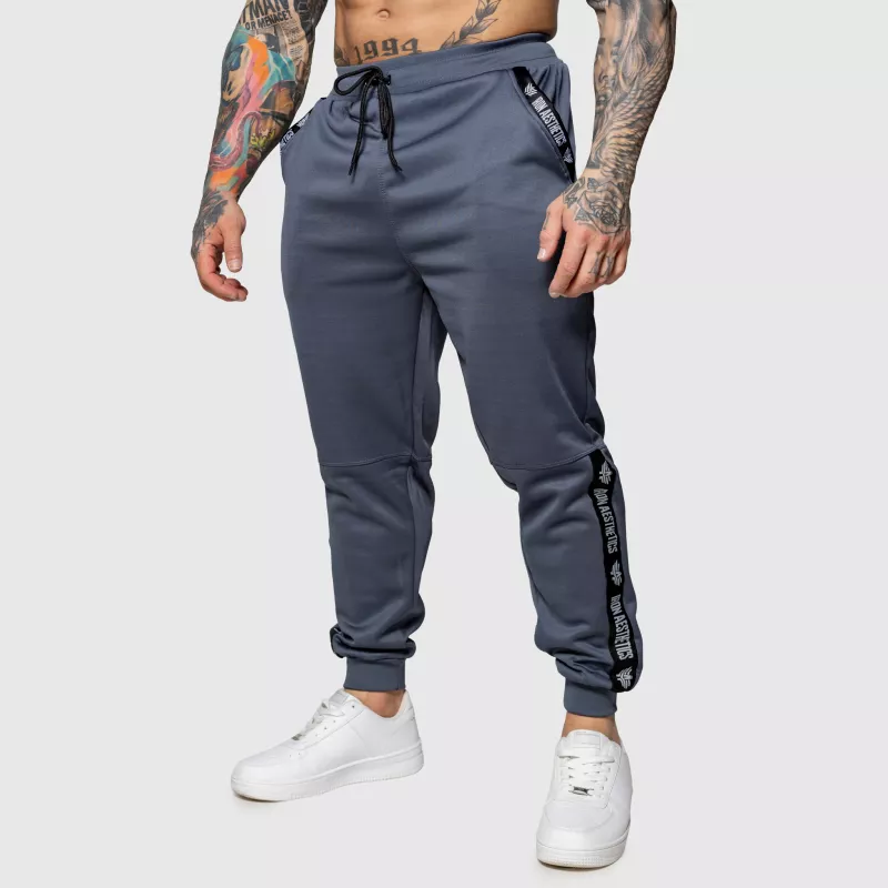 Pantaloni de trening Jogger Iron Aesthetics Partial, gri-1