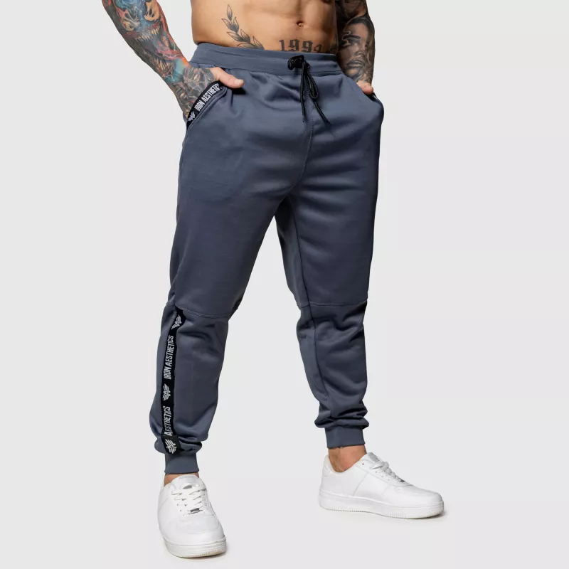 Pantaloni de trening Jogger Iron Aesthetics Partial, gri-6