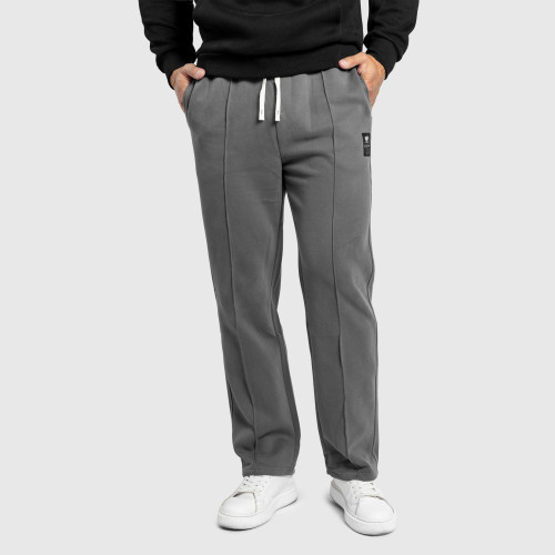Pantaloni de trening bărbați Iron Aesthetics Prestige, gri