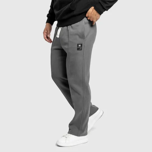 Pantaloni de trening bărbați Iron Aesthetics Prestige, gri