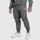 Pantaloni de trening bărbați Iron Aesthetics ASTHX, gri