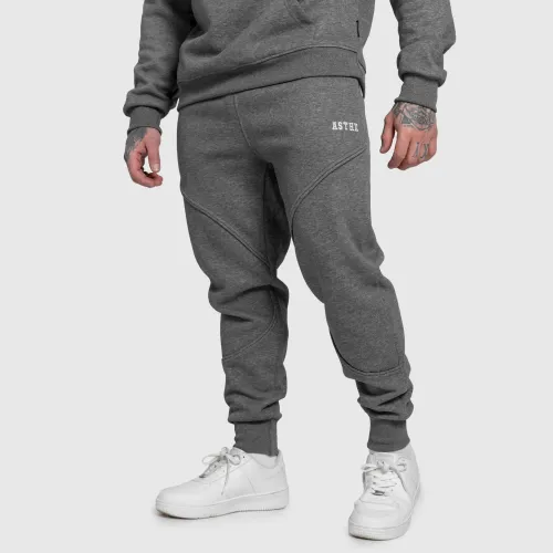 Pantaloni de trening bărbați Iron Aesthetics ASTHX, gri