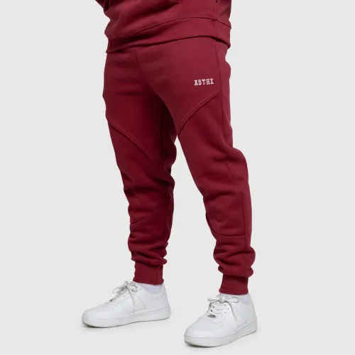 Pantaloni de trening bărbați Iron Aesthetics ASTHX, vișinii