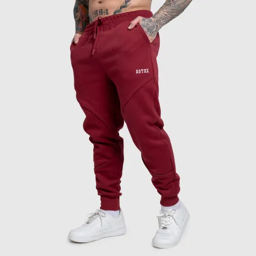 Pantaloni de trening bărbați Iron Aesthetics ASTHX, vișinii