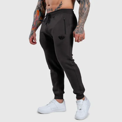 Pantaloni de trening Jogger Iron Aesthetics Round, gri