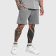 Pantaloni scurți bărbați Iron Aesthetics X Washed, gri