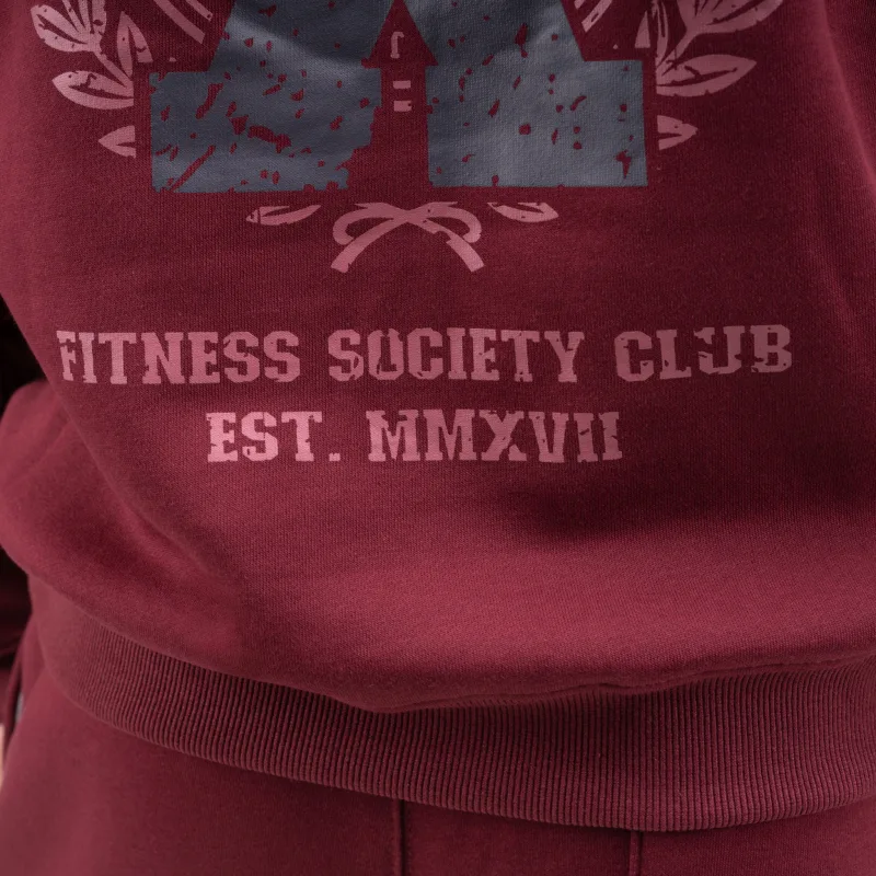 Hanorac bărbați Iron Aesthetics X-Society, vișiniu-11