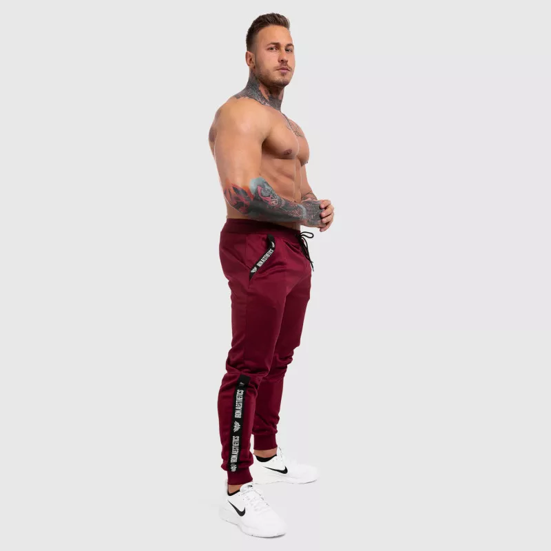 Pantalonii de trening Jogger Iron Aesthetics Partial, vișinii-6