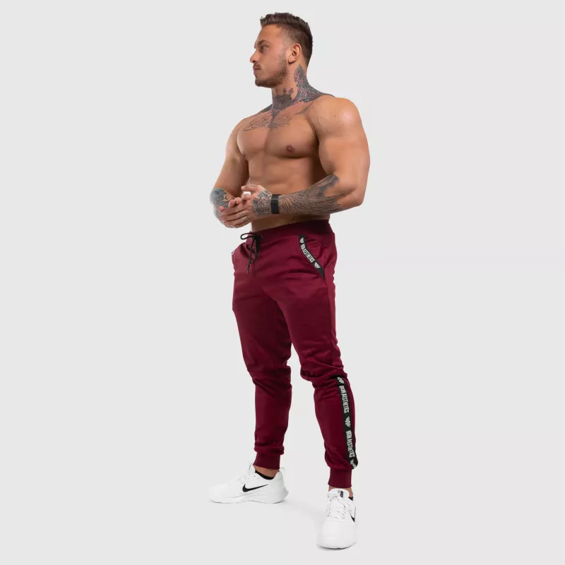 Pantalonii de trening Jogger Iron Aesthetics Partial, vișinii-7
