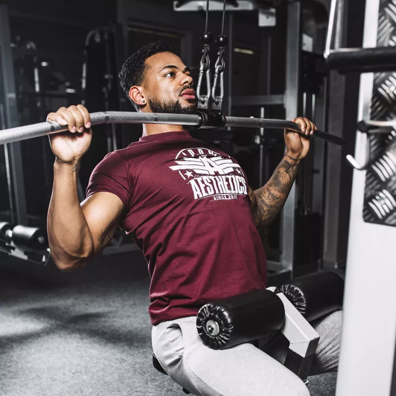 Tricou fitness pentru bărbați Iron Aesthetics Force, vișiniu-2