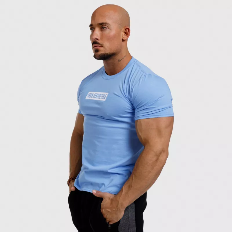 Tricou fitness pentru bărbați Iron Aesthetics Boxed, albastru-2