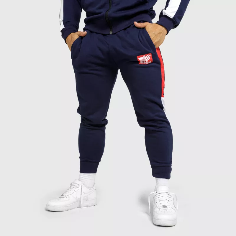 Pantaloni pentru bărbați Iron Aesthetics Tricolora, navy-1