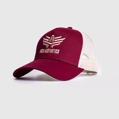 Șapca pentru bărbați Iron Aesthetics Boost, burgundy/stone
