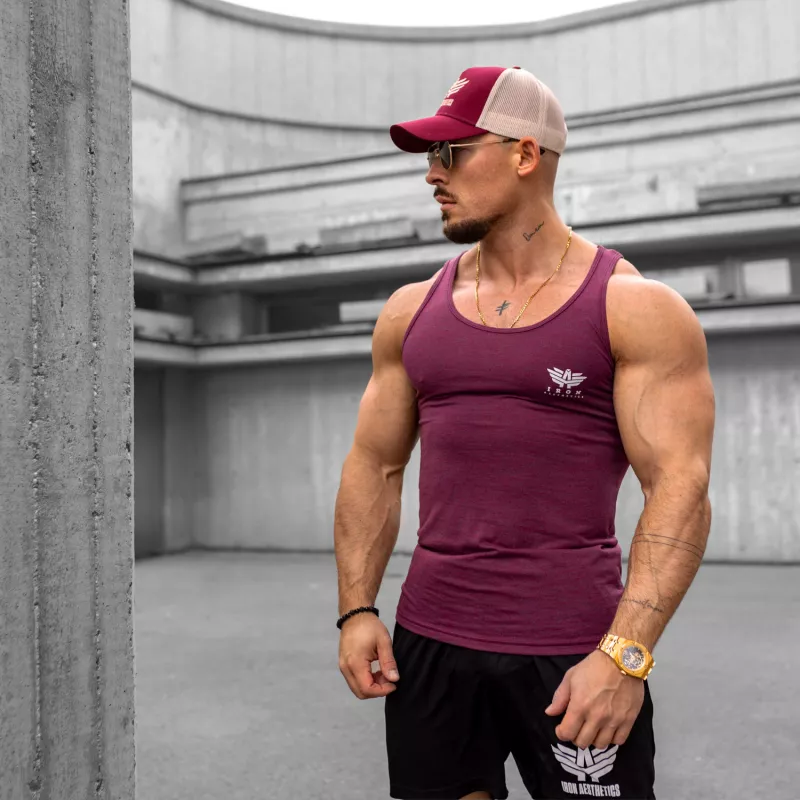Șapca pentru bărbați Iron Aesthetics Boost, burgundy/stone-3